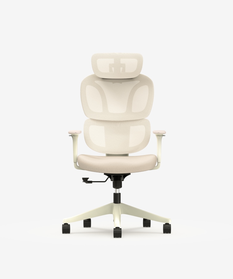 Fauteuil de bureau ergonomique FORM