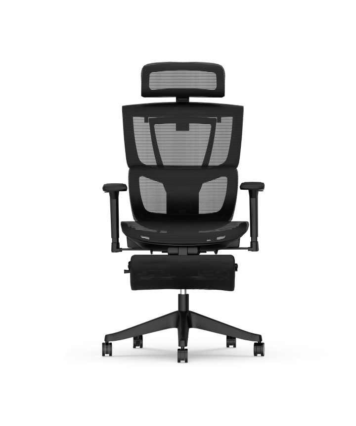 Silla Ergonómica Multi-Ajustable con Soporte Lumbar Dividido