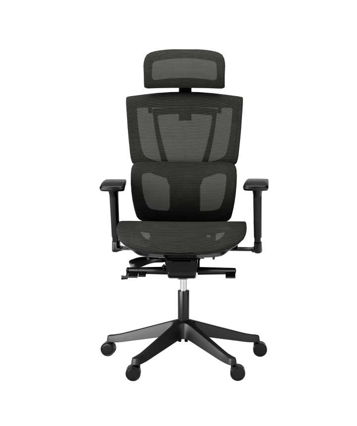 Silla Ergonómica Multi-Ajustable con Soporte Lumbar Dividido