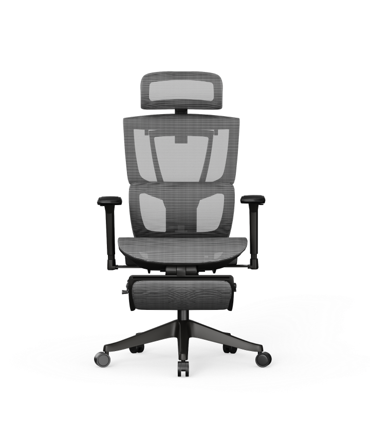 Silla Ergonómica Multi-Ajustable con Soporte Lumbar Dividido
