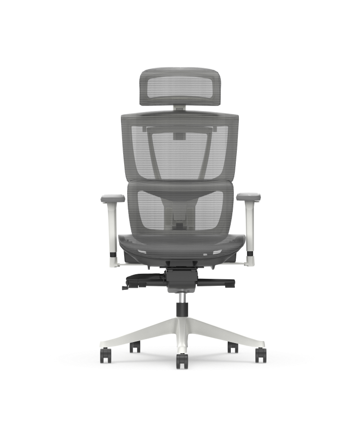Silla Ergonómica Multi-Ajustable con Soporte Lumbar Dividido