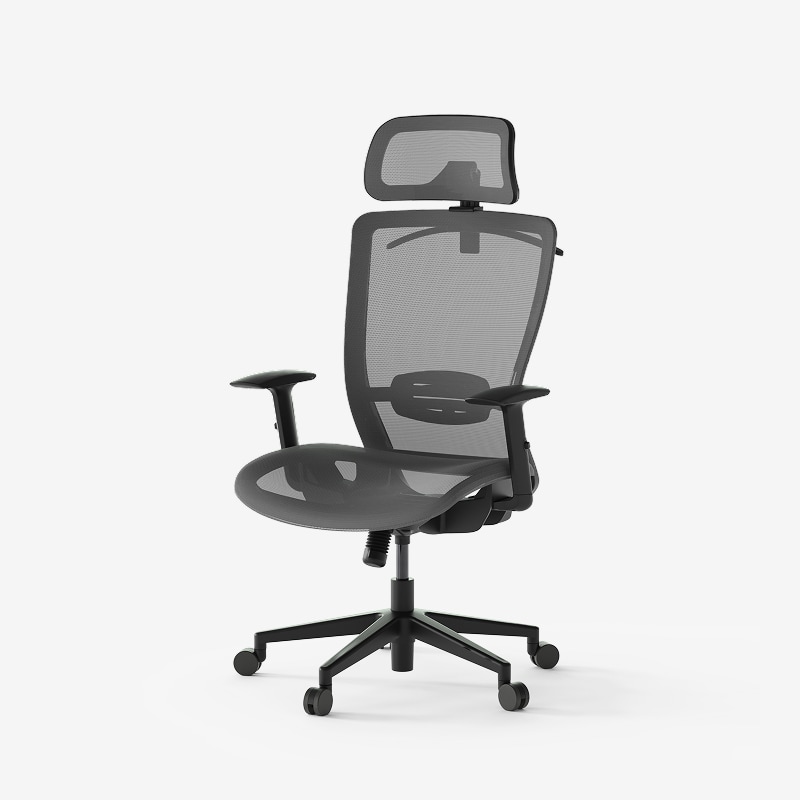 OC3 Essential Ergonomic Office Chair for Daily Comfort | FlexiSpot