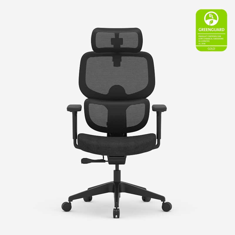 Flexispot C7 Ergonomic Office Chair