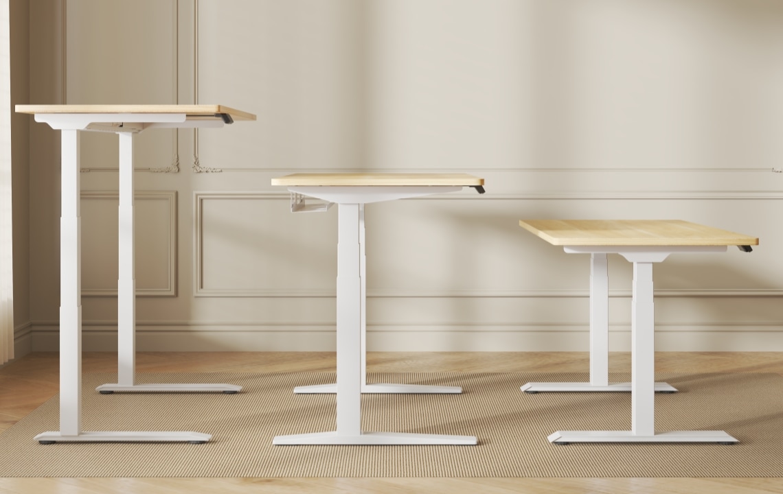 2025年FlexiSpot人気電動昇降デスクランキング | FlexiSpot 公式ストア