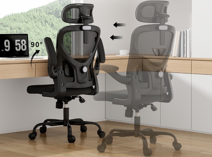 Ergonomic Office Chair (C2) Flexispot
