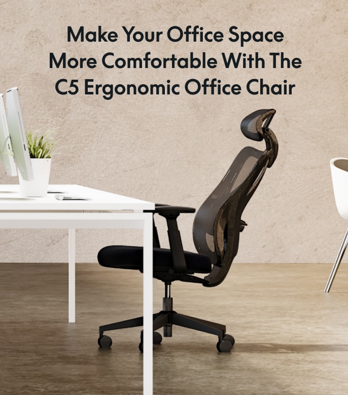 Soutien Ergonomic Office Chair C5 Flexispot