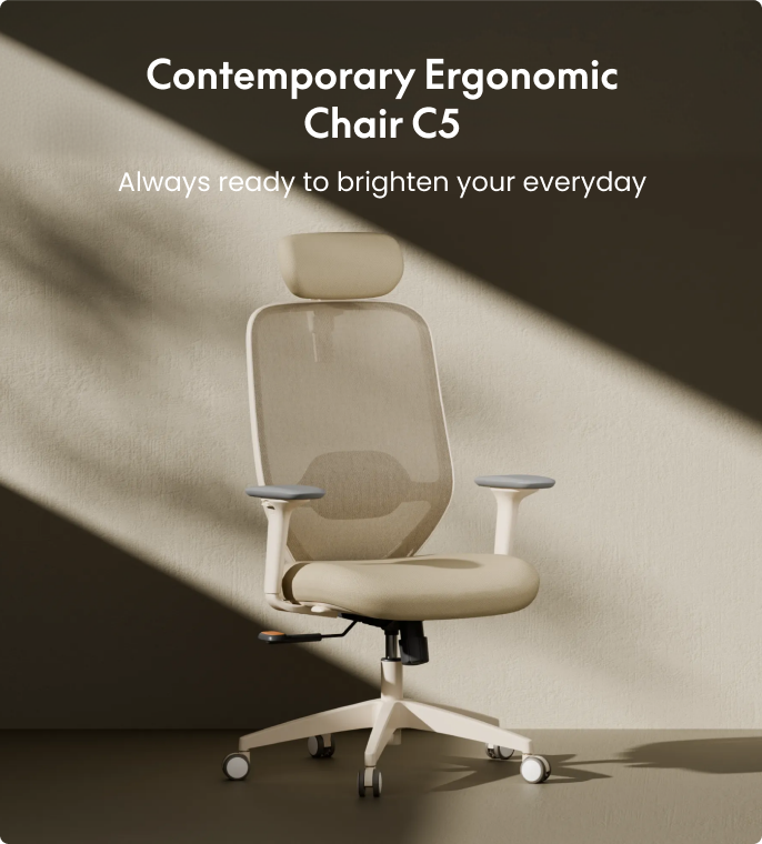 Stylish ergonomic chair C5