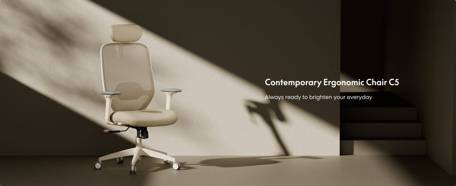 Stylish ergonomic chair C5