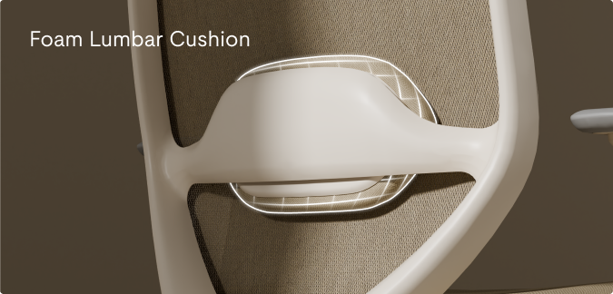 Ergonomic chair C5 with foam lumbar cushion