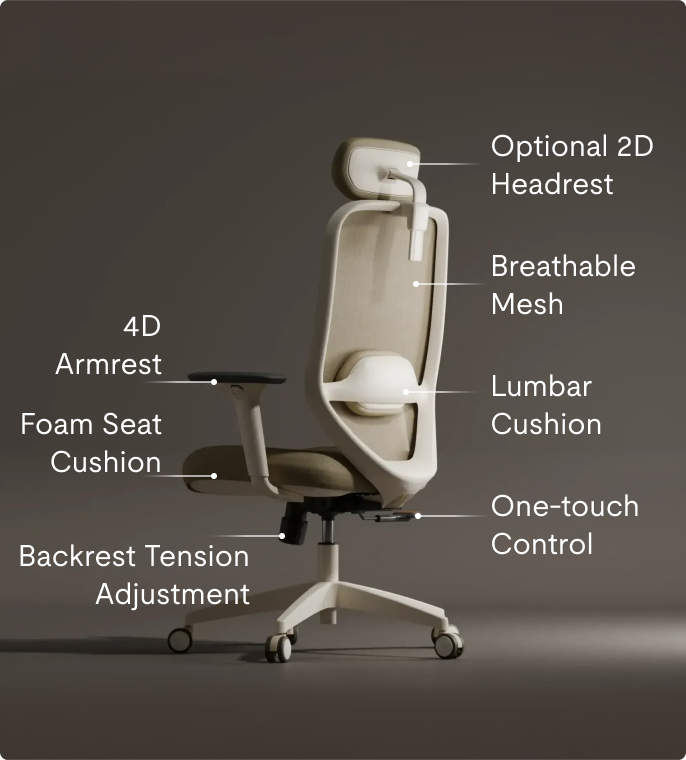 ergonomic chair C5 designed to fit your body and your home