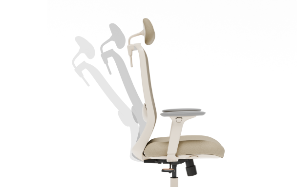 ergonomic chair C5 with backrest recline