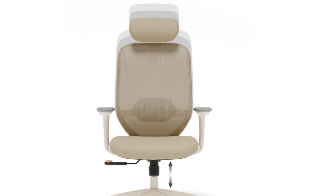 ergonomic chiar C5 with adjustable seat height
