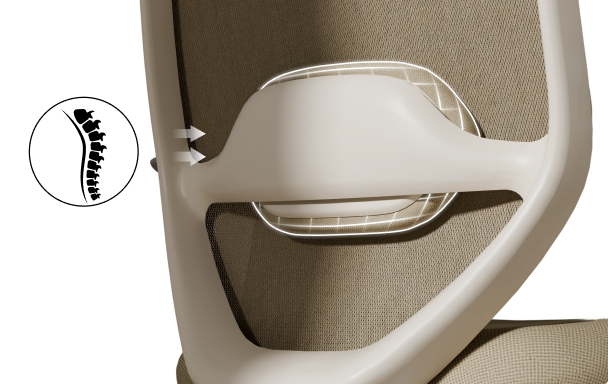 ergonomic chair C5 with adjustable lumbar support