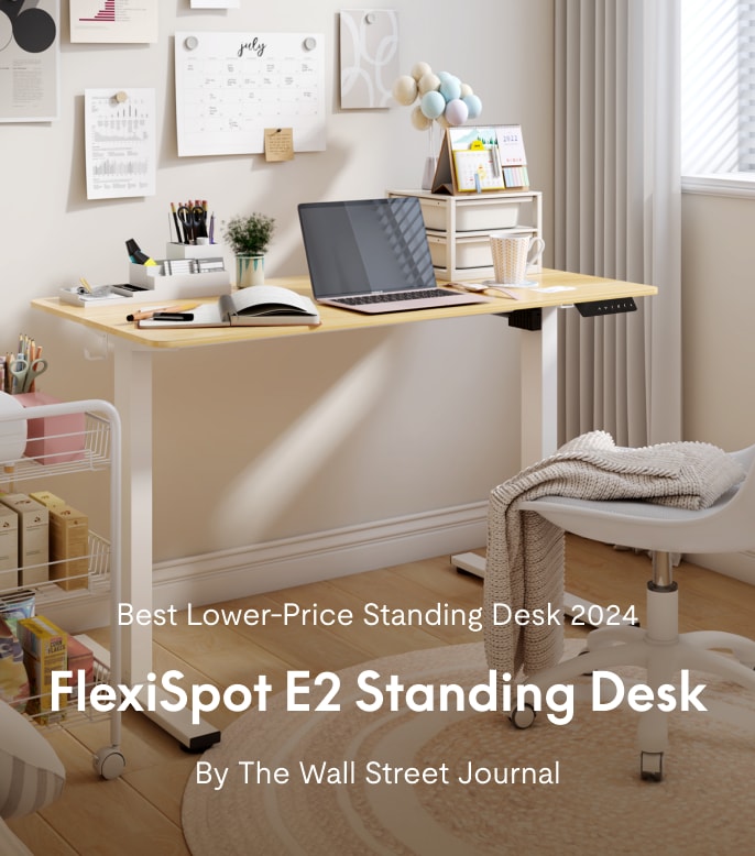 Rectangular Electric Height Adjustable Standing Desk | FlexiSpot