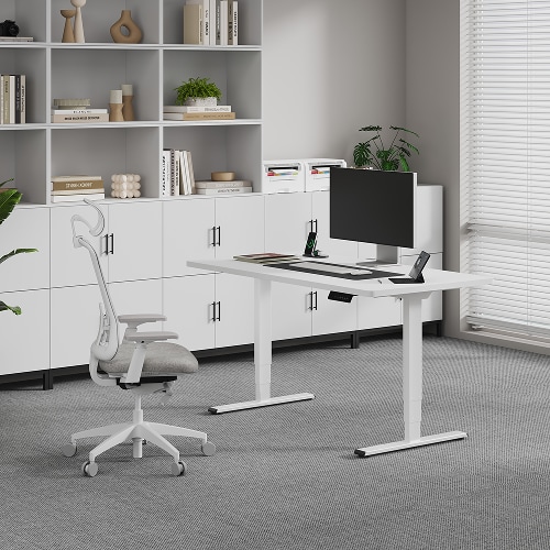 Flexispot E5 Standing Desk
