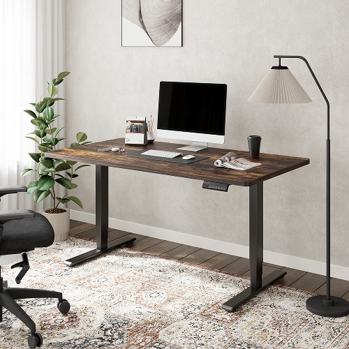 Flexispot E5 Standing Desk