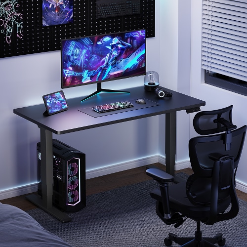 Flexispot E5 Standing Desk