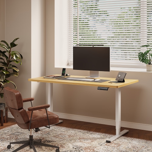 Flexispot E5 Standing Desk