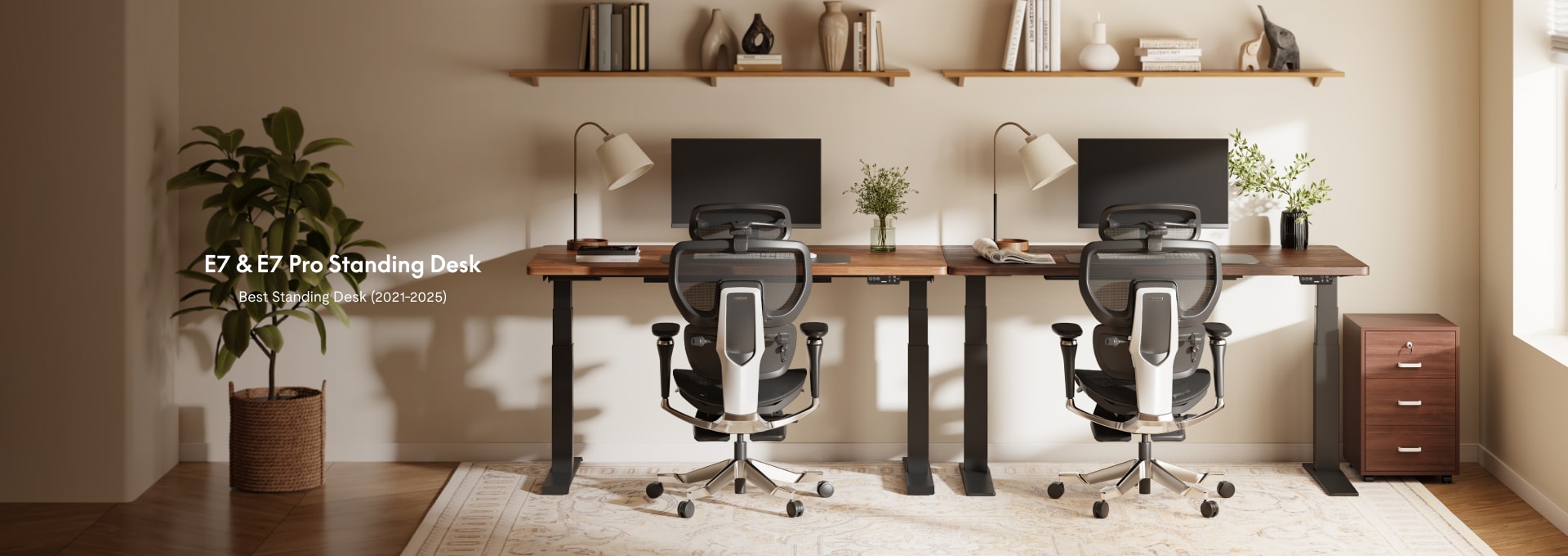 Flexispot Adjustable Standing Desk Pro Series e7
