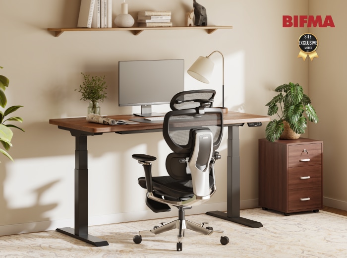 Electric Height Adjustable Standing Desk: Dual Motor