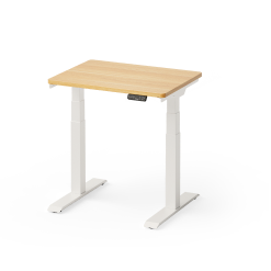 Flexispot Adjustable Standing Desk