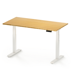 Flexispot Adjustable Standing Desk