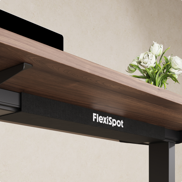 Flexispot E9 Állítható Íróasztal