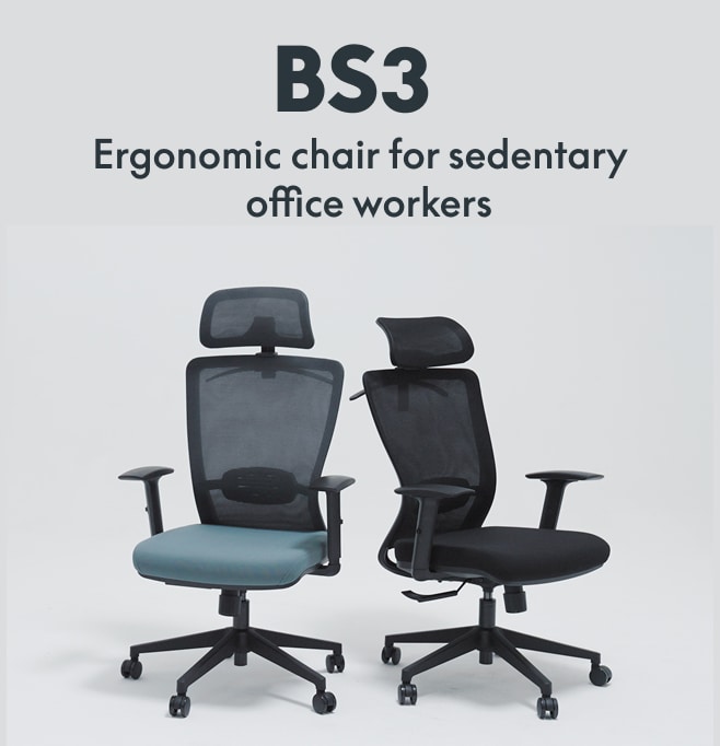 Ergonomic Resilient Swivel Office Chair BS3 FlexiSpot
