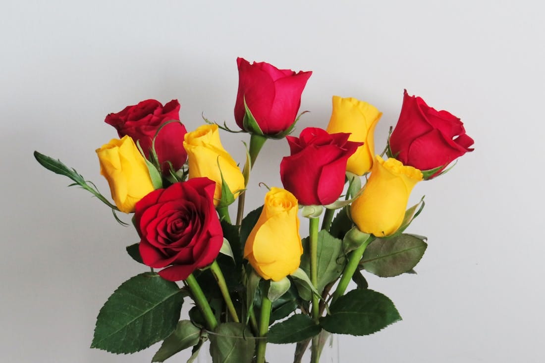 pexels-ewei2805-7063876.jpg pexels-ewei2805-7063876.jpg