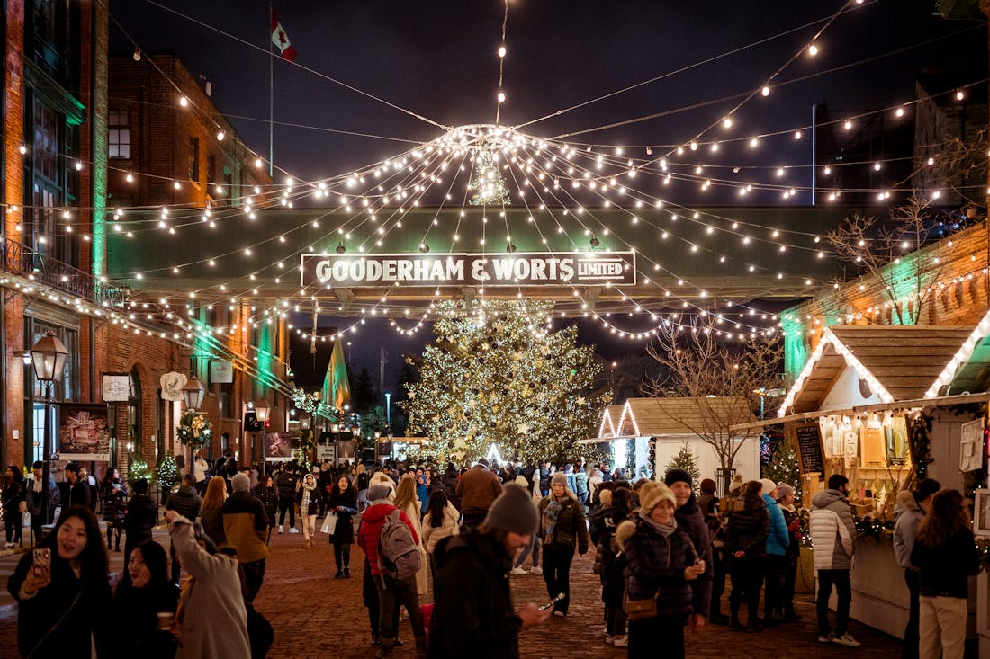 pexels-harrisonhaines-14688618.jpg pexels-harrisonhaines-14688618.jpg