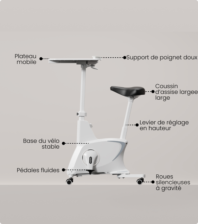 Vélo D'Appartement Avec Tabletie - FlexiSpot - Portable, Silencieux, Cadre Stable - Jusqu'à 100 Kg - 10