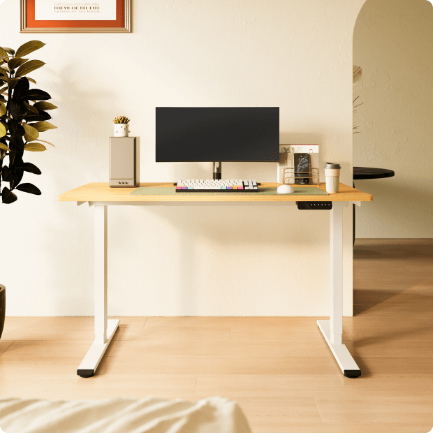 Electric Height Adjustable Standing Desk E1| FlexiSpot 