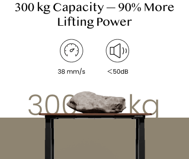 Flexispot E7Q Standing Desk