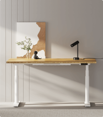 Scrivania Regolabile in Altezza E8 FlexiSpot