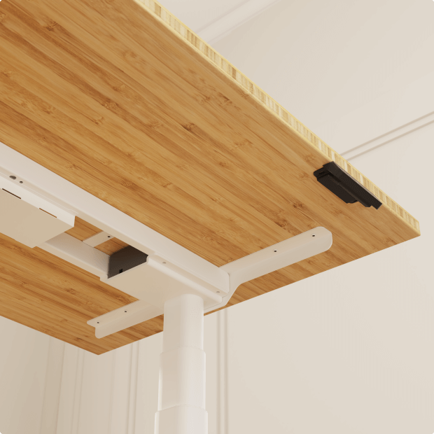 Flexispot E8 Állítható Íróasztal