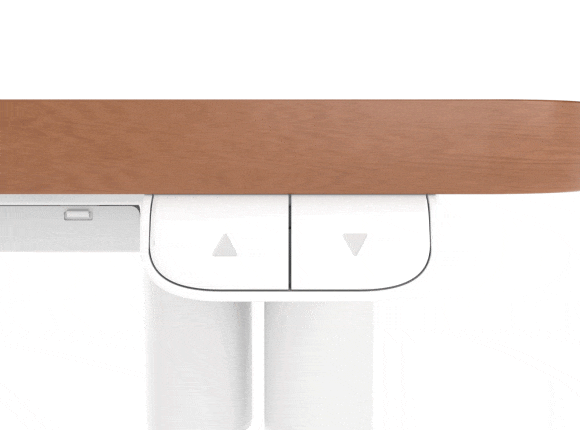 Flexispot SD1 Standing Desk