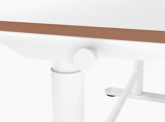 Flexispot SD1 Standing Desk