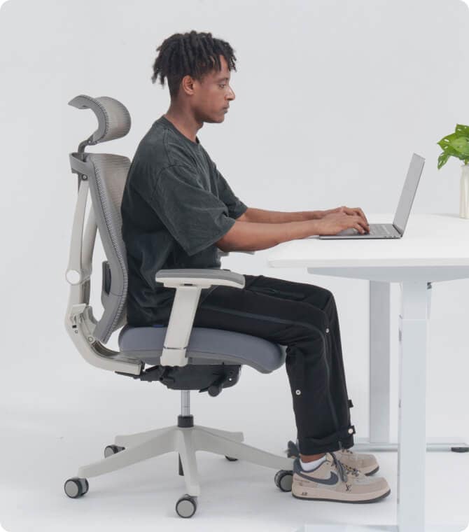 Ergonomic Office Chair BS14 FlexiSpot