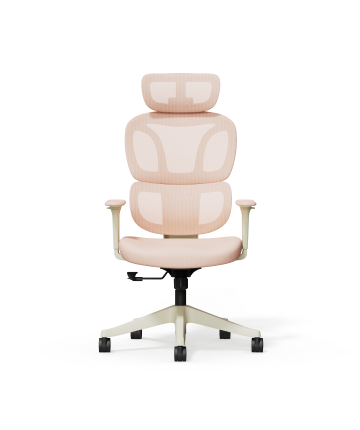 Kleurrijke Ergonomische Stoel met Wolkachtige Kussen