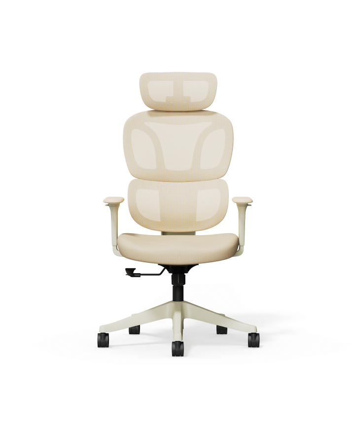 Kleurrijke Ergonomische Stoel met Wolkachtige Kussen
