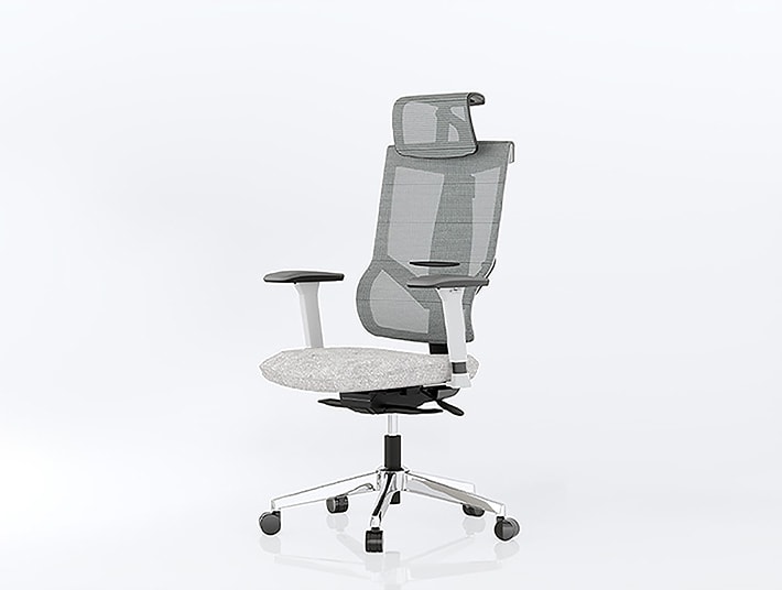 FlexiSpot Ergonomische bureaustoel BS6