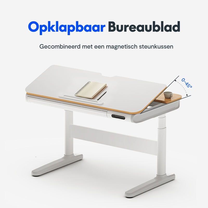 FlexiSpot Kinderbureau SD8, kantelbaar tafelblad, met opbergruimte