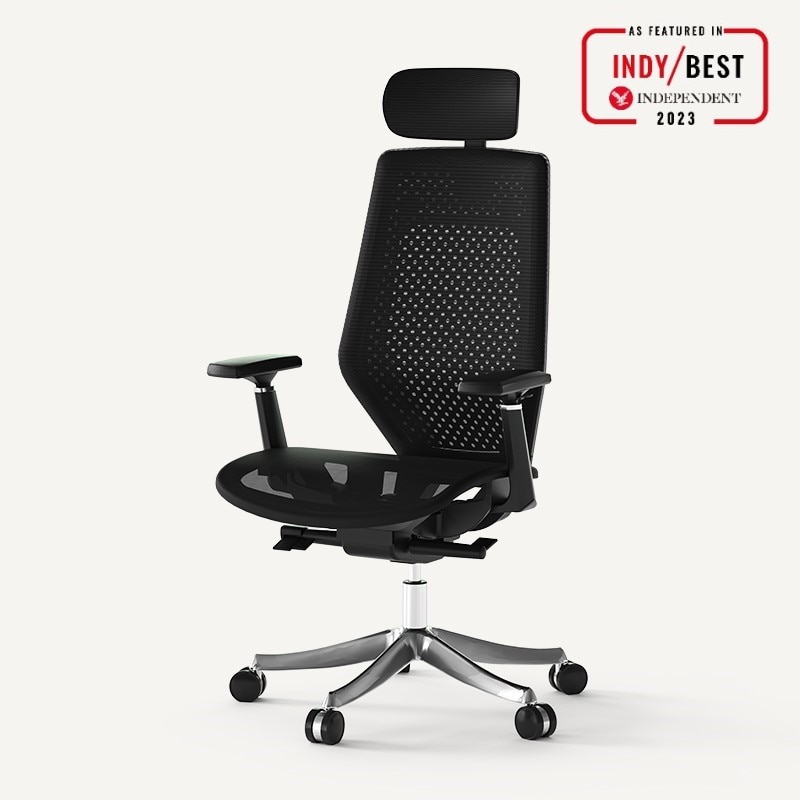 Product photograph of Flexispot Bs11pro Mesh Ergonomic Adjustable Office Chair Comfortable Computer Chair With Arms And Back Support For Study Office Gaming Works Black from FlexiSpot UK