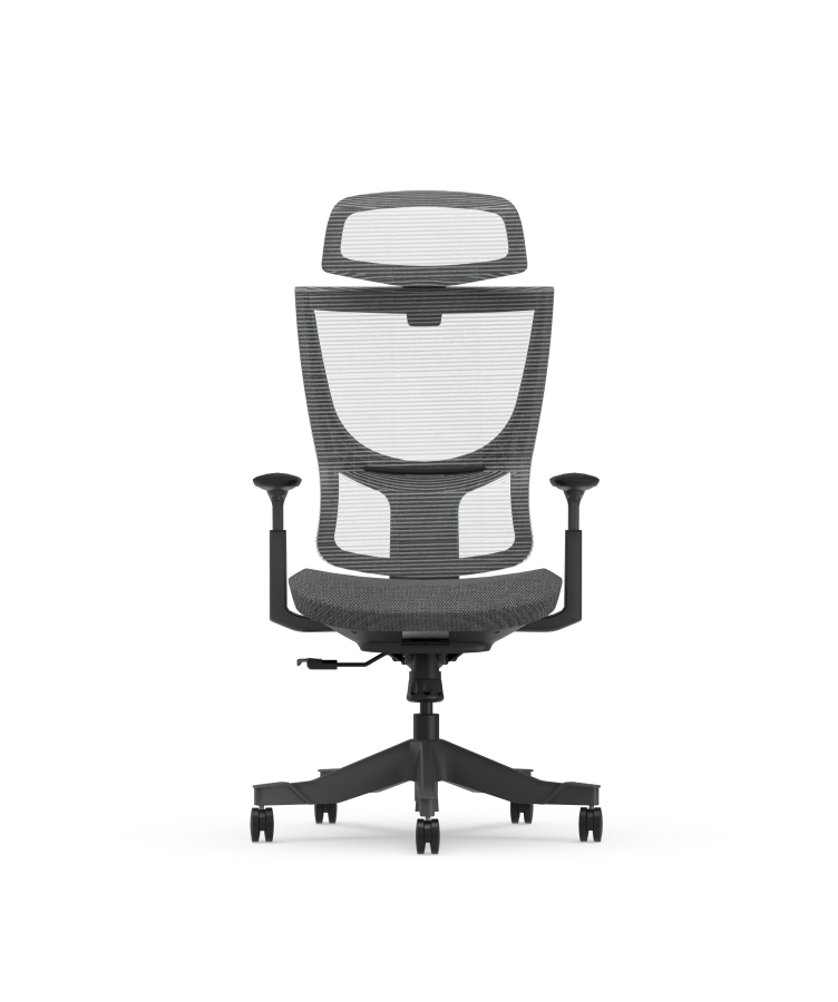 Flexi-Chair Ergonomic Office Chair