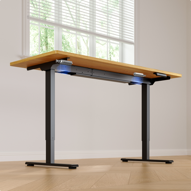 Flexispot E1 Pro Standing Desk