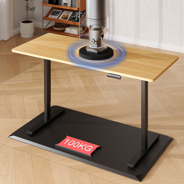 Flexispot E1 Pro Standing Desk