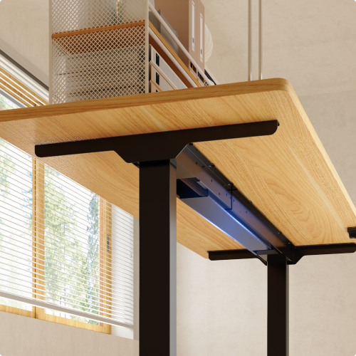 Flexispot E1 Pro Standing Desk