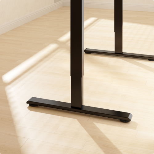 Flexispot E1 Pro Standing Desk