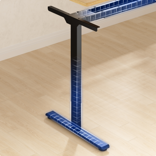 Flexispot E1 Pro Standing Desk