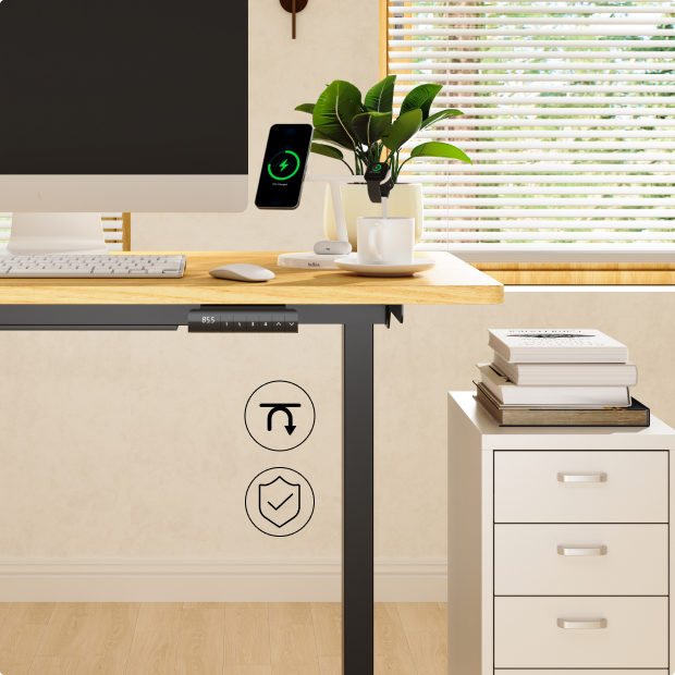 Flexispot E1 Pro Standing Desk